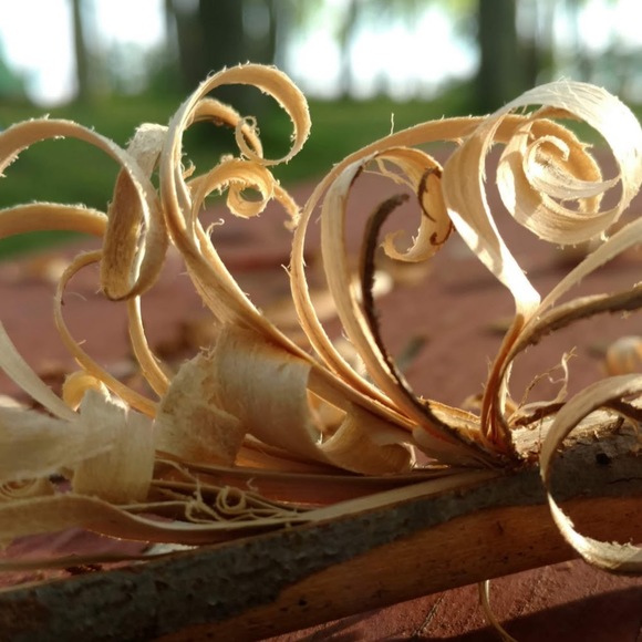 Meet your Posher, Veronica - Picture 1 of 1